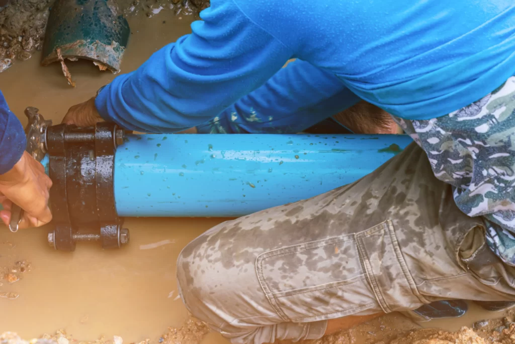 drain cleaning alton il